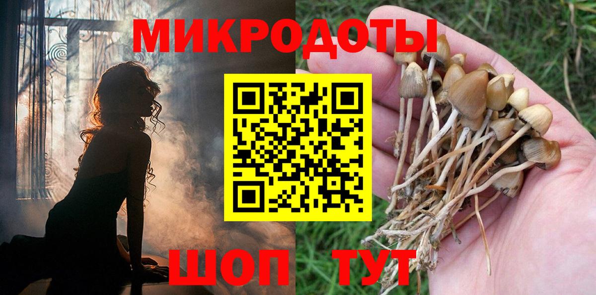 Галлюциногенные грибы Psilocybine cubensis  Галлюциногенные грибы ЛСД  Вход с VPN  Сатка 